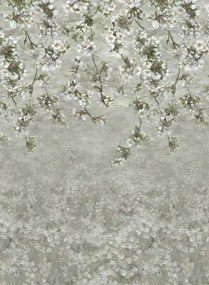 Designers Guild Carta da parati panoramica Assam Blossom - Platinum