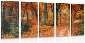 Quadri 5 pezzi – Foresta in autunno