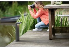 Philips - Lampada LED da esterno BUSTAN LED/3,8W/230V 77 cm IP44