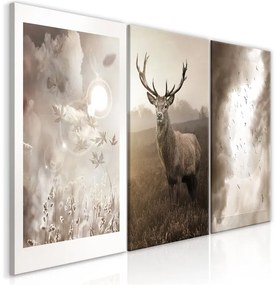 Quadro Autumn Evenings (3 Parts)  Colore Bianco, Dimensioni e Misure 120x60