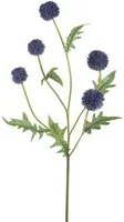 Set 4 Echinops per 5 74 cm