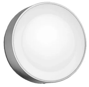 Daylo Applique da Esterno White/Color Amb. Inox - Philips Hue