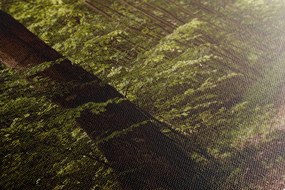 Quadro su tela – Foresta verde