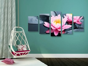 Quadri 5 pezzi – Fiore di loto nel lago