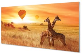 Quadro vetro acrilico Balloons Heaven Giraffe 100x50 cm