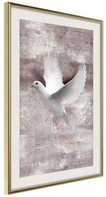 Poster  White Dreams  Cornice Quadri Cornice d'oro con passe-partout, Larghezza x Altezza Home decor 20x30