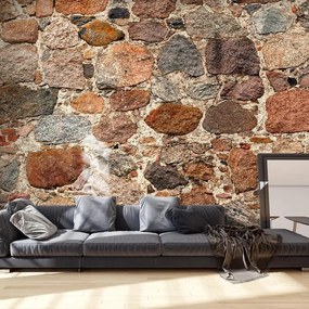 Fotomurale adesivo  Stone Artistry V  Larghezza x Altezza Home decor 784x280