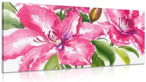 Quadro su tela – Fiori meravigliosi