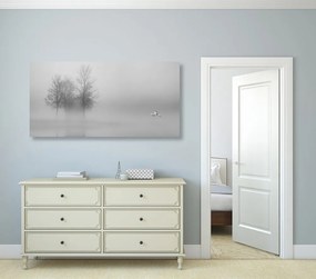 Quadro su tela – Alberi nella nebbia in bianco e nero