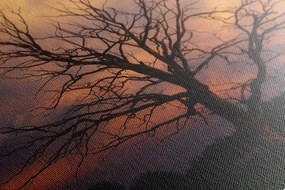 Stampa su tela – Splendido albero sul prato