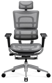 Sedia ergonimica DIABLO V-MASTER: nero-grigio