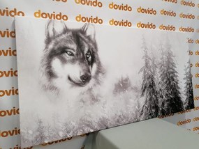 Quadro su tela – Lupo nel paesaggio innevato in bianco e nero