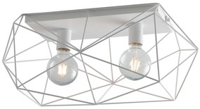 Lampadario Plafoniera Abraxas Class Colore Bianco 60W Mis 61 x 30 x 26,5 cm