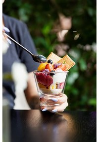 Set di bicchieri da gelato 2 pz 250 ml Soho – Vialli Design