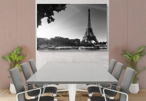 Quadro su tela – Parigi in autunno in bianco e nero