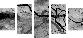 Quadri 5 pezzi – Alberi surrealisti in bianco e nero