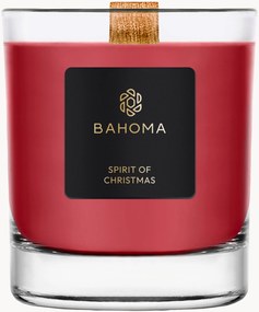 Candela profumata fatta a mano Sprit of Christmas (ribes, chiodi di garofalo & ambra)