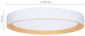 Brilagi - Lampada da soffitto dimmerabile LARIOS LED/72W/230V bianco Ø 59 cm + telecomando