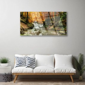 Quadro in vetro acrilico Cascata della natura della foresta 100x50 cm