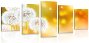Quadri 5 pezzi – Dente di leone soffice