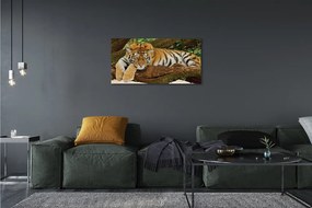 Quadro stampa su tela Albero di tigre 100x50 cm