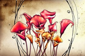 Carta da parati – Fiori rossi di calla