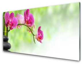 Pannello paraschizzi cucina Fiore di bambù naturale 100x50 cm