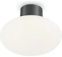 Plafoniera Moderna Clio Alluminio Antracite 1 Luce E27