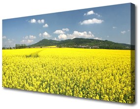 Stampa quadro su tela Campo di prato Natura di colza 100x50 cm