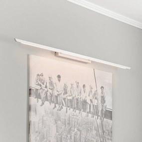 Lampada LED per quadri Quitani Niara CCT alluminio anodizzato naturale