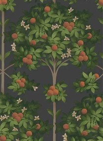 Cole & Son Carta da parati Orange Blossom - Orange/ Spring Green on Black