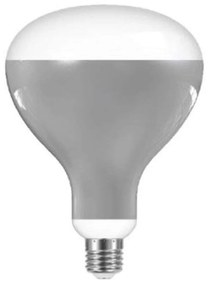 Flos - Lampadina LED 13W (1180lm) R125 2700K E27 Verdeplux