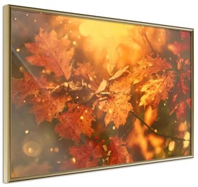 Poster  Golden Autumn  Cornice Quadri Cornice d'oro, Larghezza x Altezza Home decor 30x20