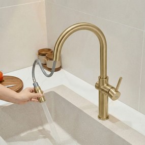 Rubinetto da cucina Rea Fresh High Brush Gold