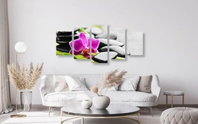 Quadri 5 pezzi – Natura morta wellness con orchidea viola