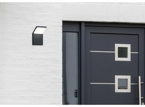 Applique da esterno a LED (altezza 16 cm) Pearl - Trio