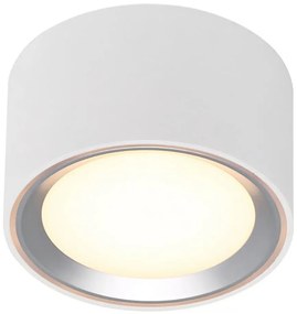Nordlux - Plafoniera LED dimmerabile FALLON LED/5,5W/230V