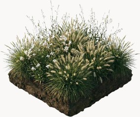 Set di 9 piante perenni da aiuola Luna Perennial