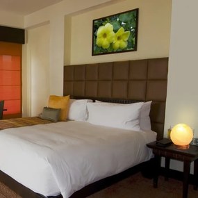 Rabalux 4093 - Lampada salina OZONE 1xE14/15W/230V