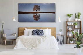 Quadro su tela – Cielo stellato sopra un albero solitario