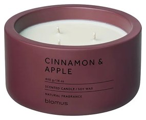 Candela di soia profumata tempo di combustione 25 h Fraga: Cinnamon &amp; Apple - Blomus