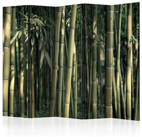Paravento Boschetto bambù esotico II (5 parti) - bosco di canne