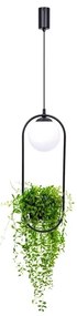 Zuma Line 5003 - Lampadario a sospensione con filo PLANT 1xE14/40W/230V nero