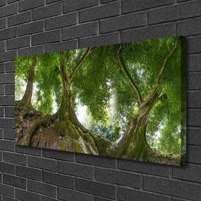 Quadro su tela Alberi, piante, natura 100x50 cm