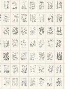 Sandberg Carta da parati panoramica Botanica - Graphite