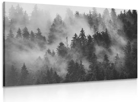 Stampa su tela – Montagne nella nebbia in bianco e nero