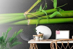 Carta da parati – Pietre a forma di Yin e Yang