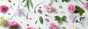 Stampa su tela – Natura morta magica di fiori