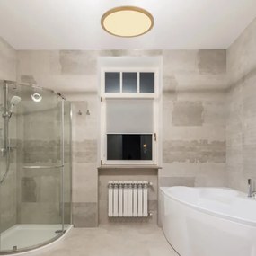 Globo 41562-18MM - Plafoniera LED dimmerabile SAPANA LED/18W/230V IP44