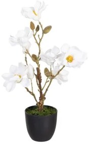 Pianta Decorativa Poliestere Polietilene Ferro 25 x 25 x 49 cm Magnolia